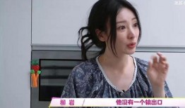 丁家宜的爸爸的爆料视频,爆料视频背后的惊人真相